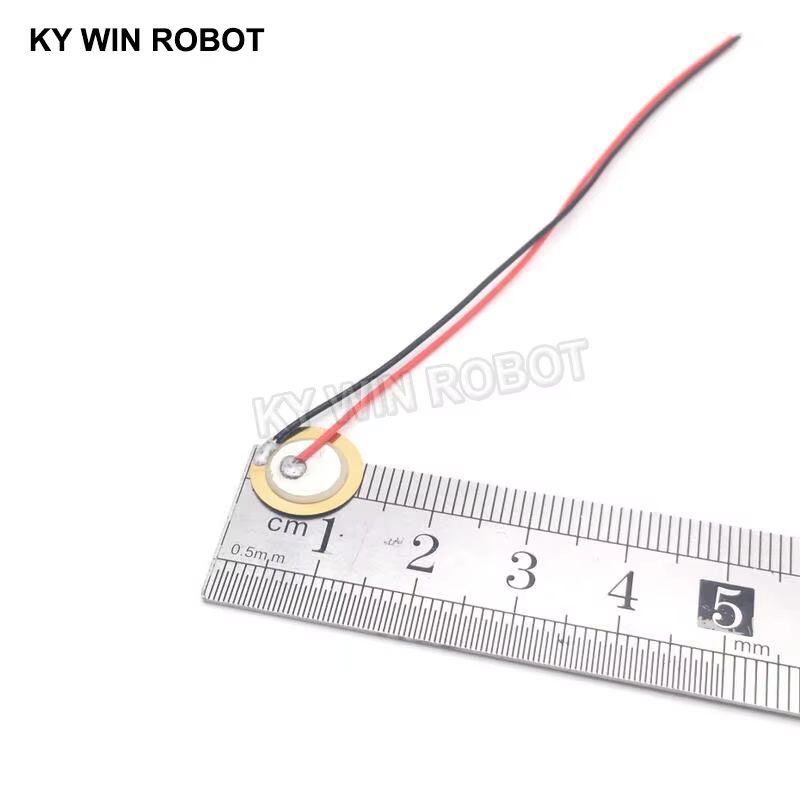 Diy With Electronics - 10 Piezas de Placas de Cerámica