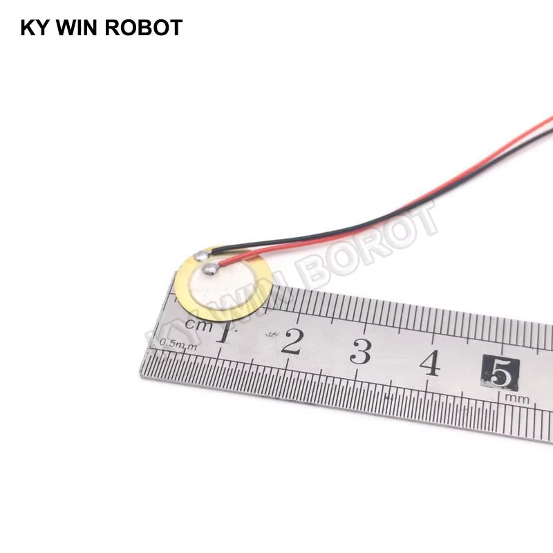 R/Diy Electronics - 10 Piezas de Placas de Cerámica