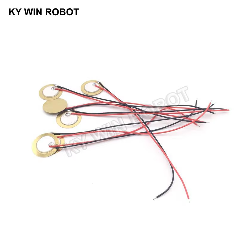 10 Piezas de Placas de Cerámic - R/Diy Electronics reseña y precio