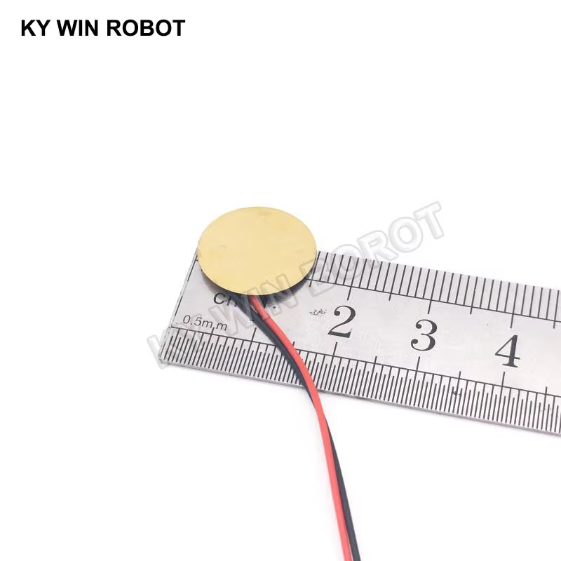 10 Piezas de Placas de Cerámic - R/Diy Electronics reseña y precio